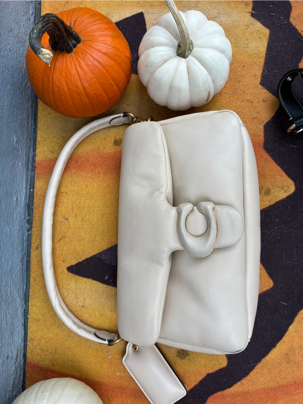 Coach Cream Leather pillow tabby